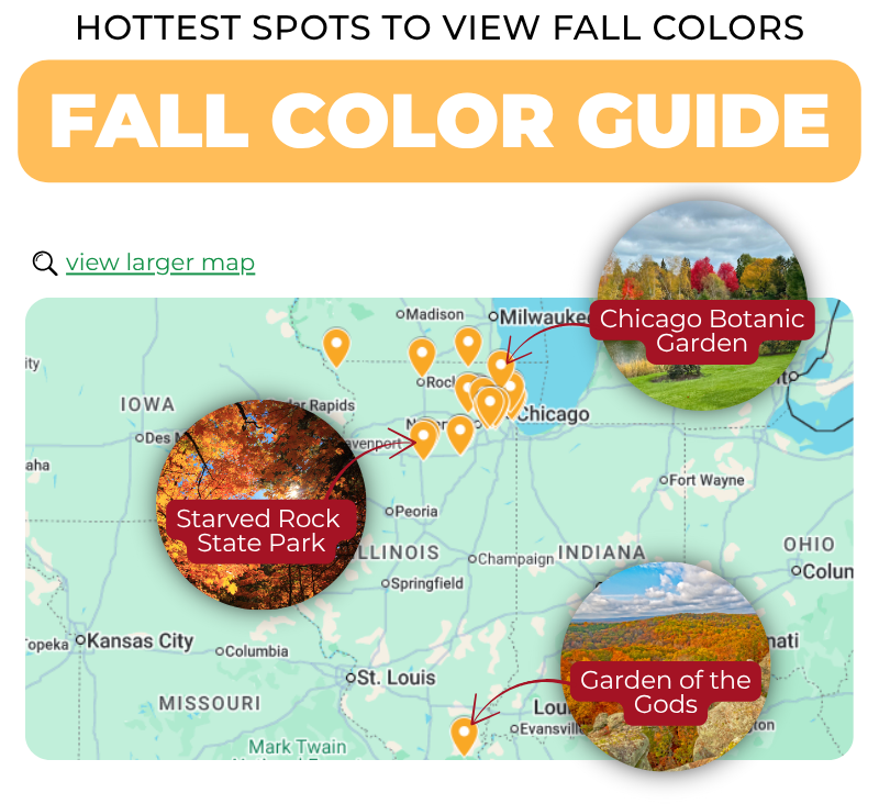 Chicagoland's Hottest Spots for Viewing Fall Color